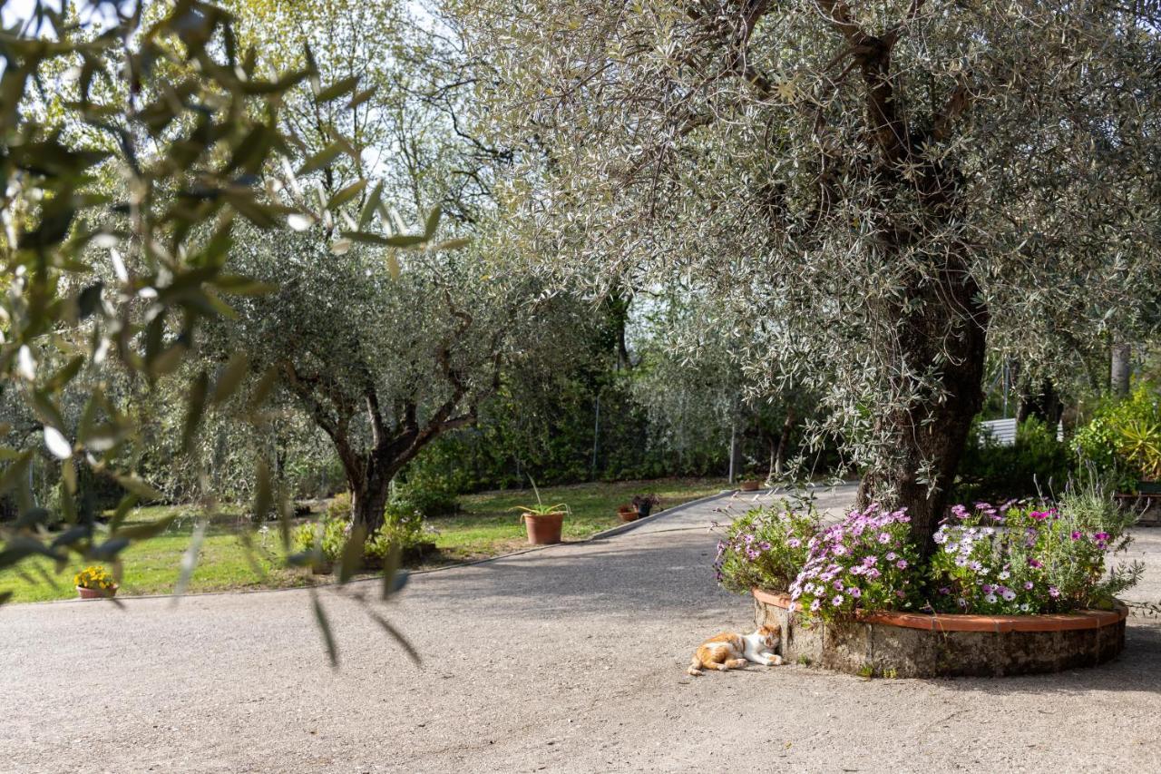 La Tana Delle Stelle B&B Di Charme E Relax Fara in Sabina Exteriér fotografie