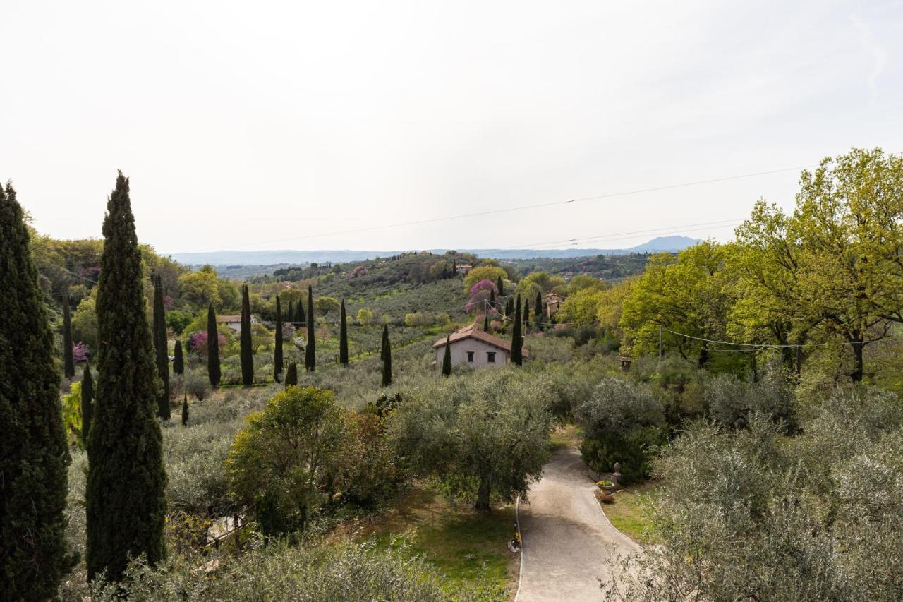La Tana Delle Stelle B&B Di Charme E Relax Fara in Sabina Exteriér fotografie