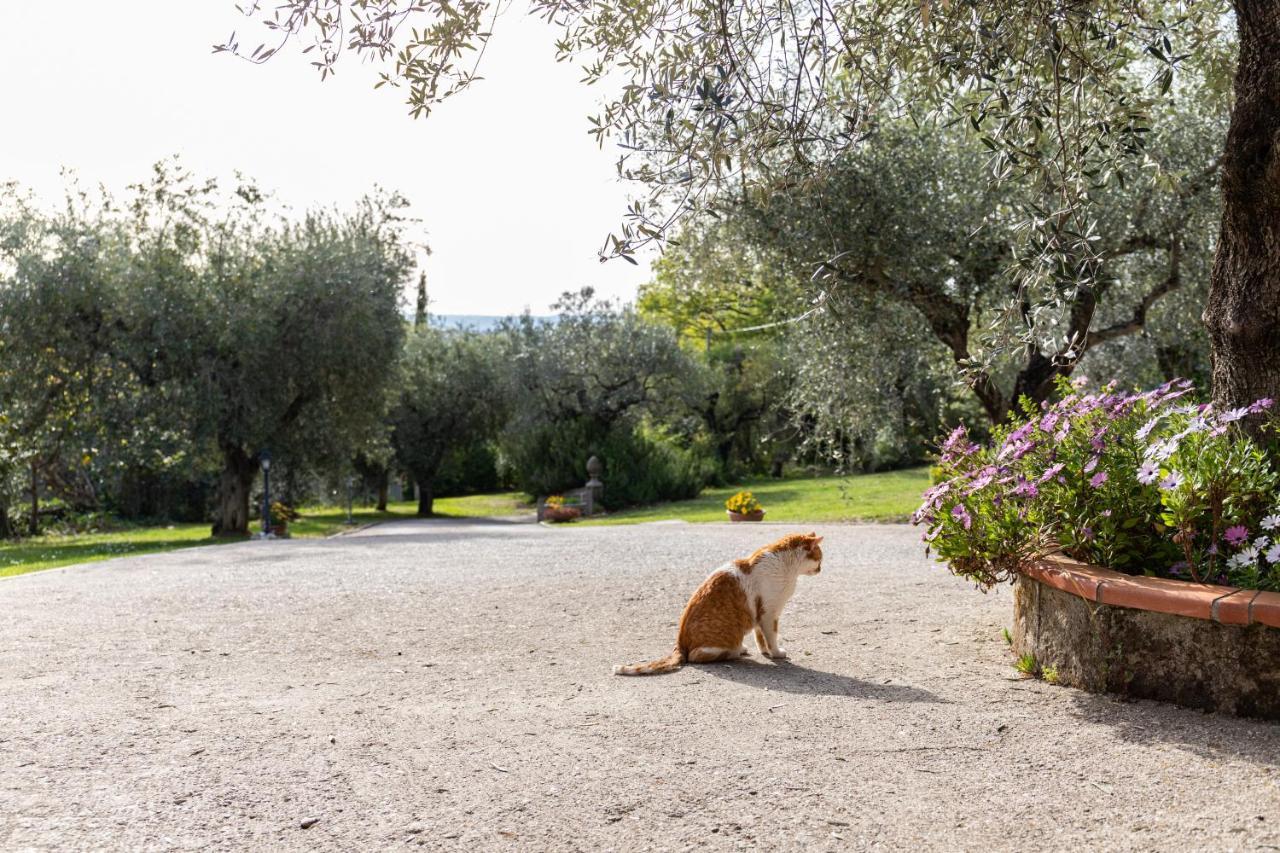 La Tana Delle Stelle B&B Di Charme E Relax Fara in Sabina Exteriér fotografie