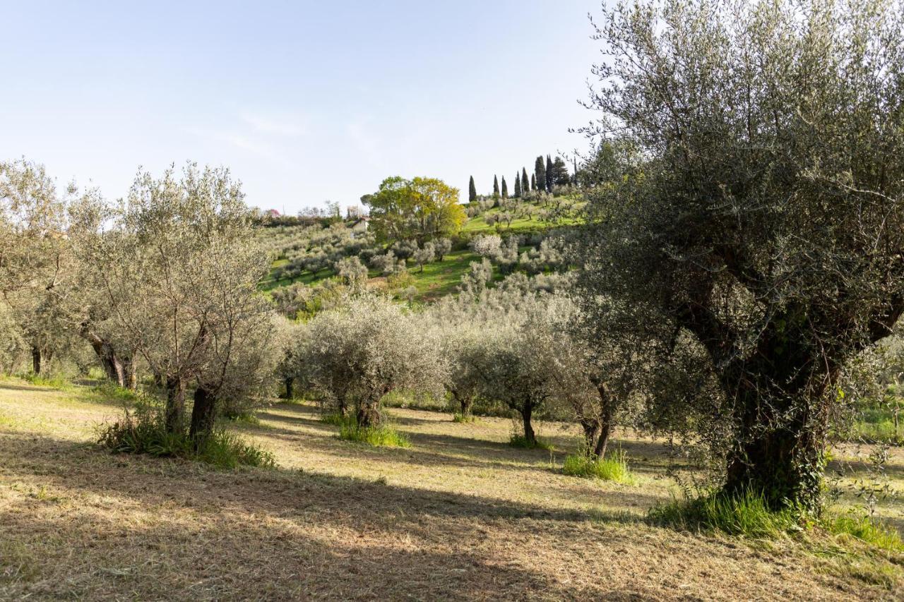 La Tana Delle Stelle B&B Di Charme E Relax Fara in Sabina Exteriér fotografie