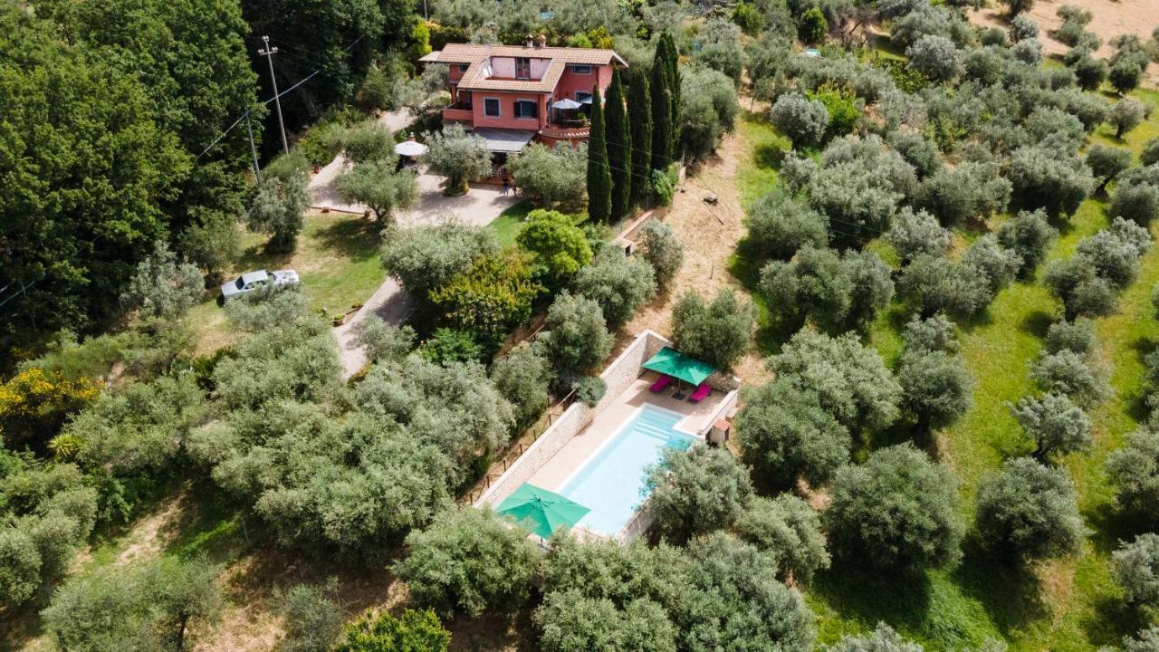 La Tana Delle Stelle B&B Di Charme E Relax Fara in Sabina Exteriér fotografie