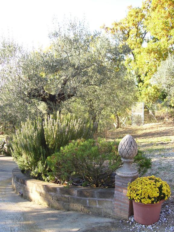 La Tana Delle Stelle B&B Di Charme E Relax Fara in Sabina Exteriér fotografie